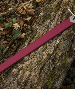 Chronicles of Narnia Prince Sword Replica featuring the Gold Rhindon design with a polished stainless steel blade and lion-head pommel.